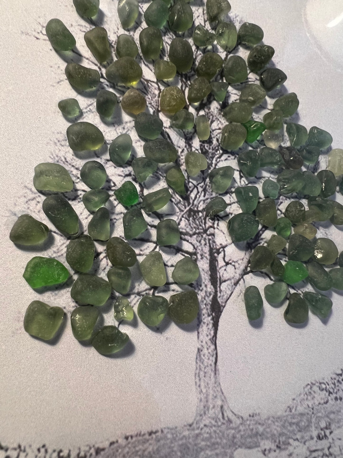 Sycamore gap sea glass tree frame