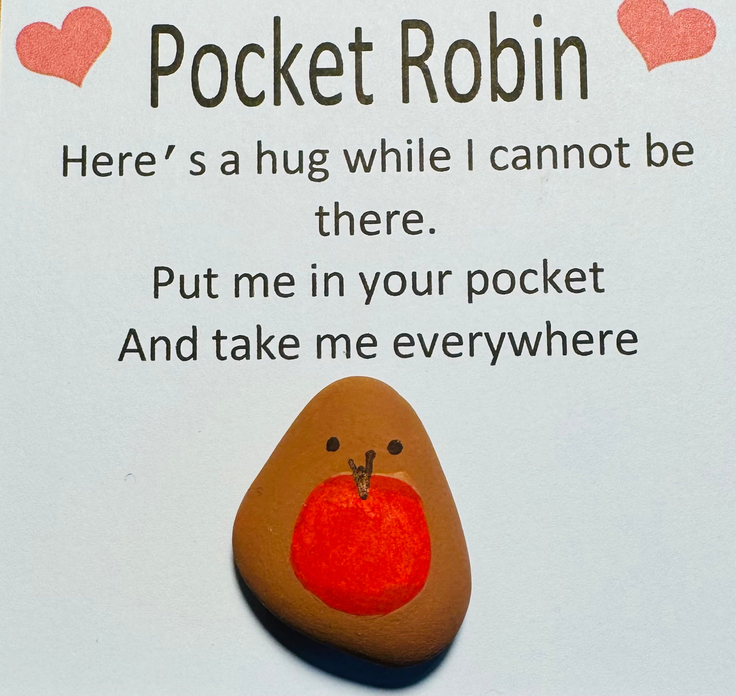 Pocket Robin